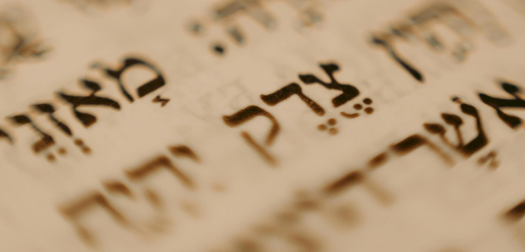 wspolpraca-zydzi-niemcy